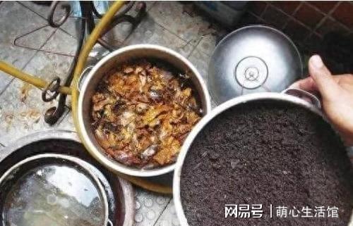 养花的5个“臭毛病”错一个死几盆难怪你老养不好花开云真人(图3)